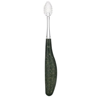 RADIUS Source Brush, Soft, Replaceable Head, 1 Toothbrush