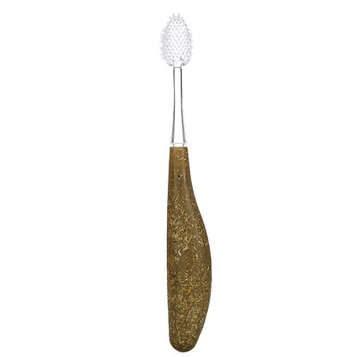 RADIUS Source Toothbrush, Medium, 1 Replaceable Head Toothbrush