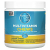 Ready Pet Go, Multivitamin Chews, All-In-1 Immune Support For Dogs, All Ages, Chicken, Cheese & Bacon, 90 Soft Chews