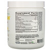RSP Nutrition, AminoLean, Essential Vegan Aminos, Pineapple Coconut, 7.94 oz (225 g)