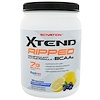 Scivation, エクステンド・リップドBCAA、ブルーベリーレモネード、17.7 oz (501 g)