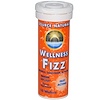 Source Naturals, Wellness Fizz, Natural Tangerine Flavor, 10 Wafers
