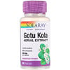 Gotu Kola Aerial Extract, 250 mg, 60 VegCaps