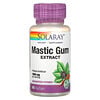 Solaray, Mastic Gum Extract, 500 mg, 45 VegCaps