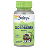 True Herbs Elderberry, Holunder, 100 pflanzliche Kapseln
