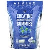SteelFit, Creatine Monohydrate Gummies, Blue Raspberry, 120 Gummies