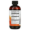 Swanson, Elderberry Extract Syrup, 8 fl oz (237 ml)
