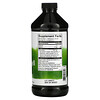 Swanson‏, Liquid Chlorophyll, 100 mg, 16 fl oz (473 ml)