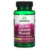 Swanson‏, Green Lipped Mussel, 500 mg, 60 Capsules