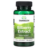 Bilberry Extract, 60 mg, 120 Capsules