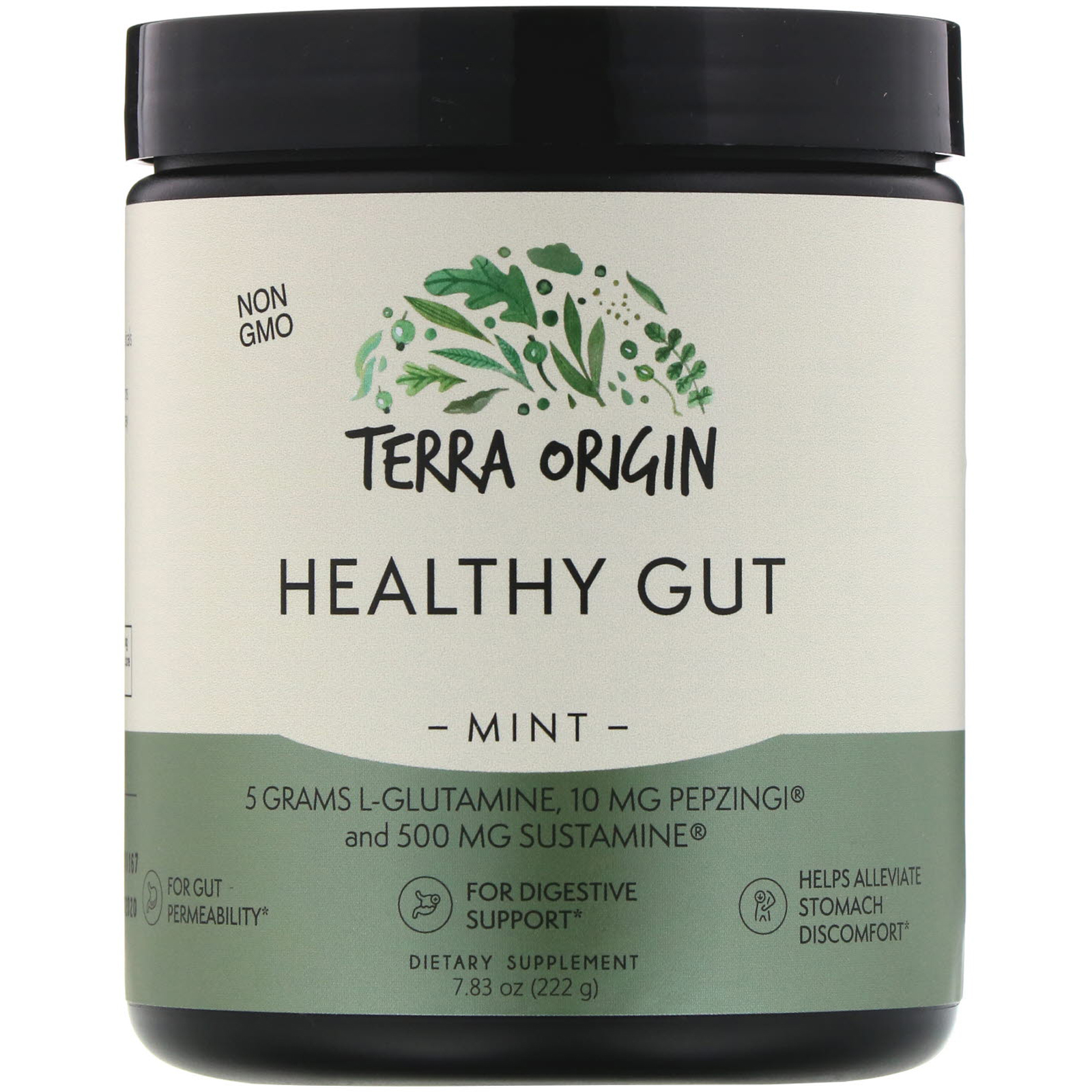 Terra Origin Healthy Gut Mint 7 83 Oz 222 G IHerb