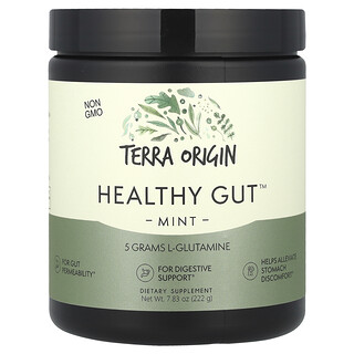 Terra Origin, Healthy Gut™, Suplemento para favorecer la salud intestinal, Menta, 222 g (7,83 oz)