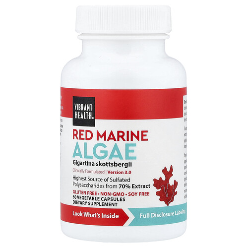 Gigartina Red Marine Algae