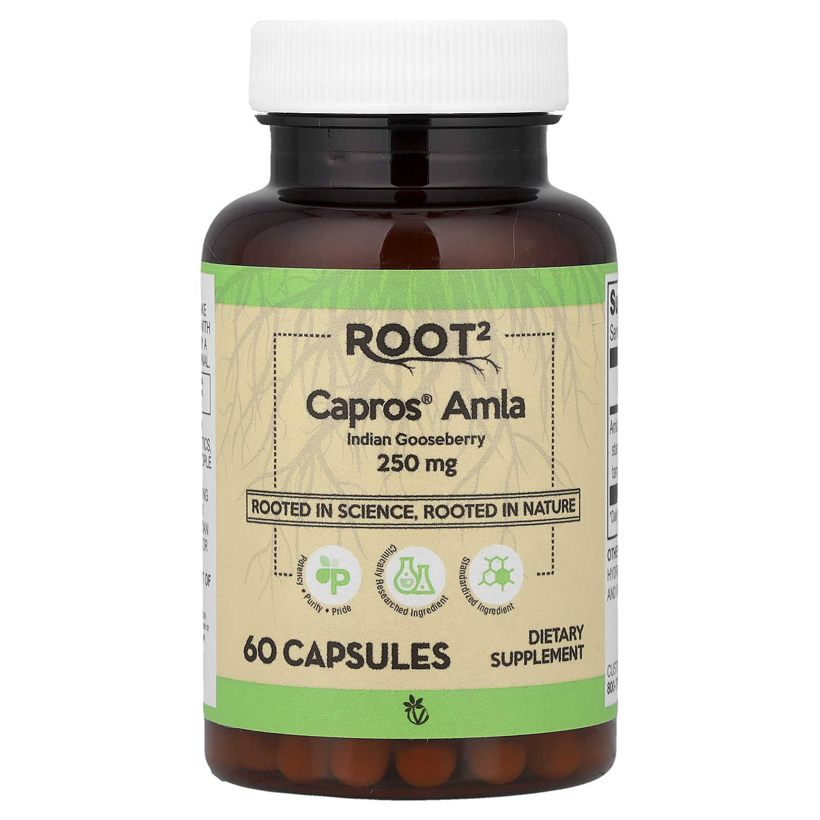 vitacost acetyl l carnitine Acetyl L Carnitine 600mg – nutrinature main image 0