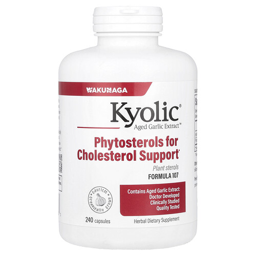 Kyolic Aged Garlic Extract™, Formula 107, 240 Capsules