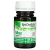 Kyolic, Kyo-Dophilus® Max Probiotic 素食膠囊，500 億 CFU，30 粒裝