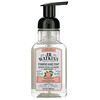 جي آر واتكينز, Foaming Hand Soap, Grapefruit, 9 fl oz (266 ml)