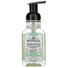 J R 왓킨스, Foaming Hand Soap, Vanilla Mint, 9 fl oz (266 ml)
