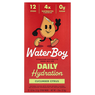 Waterboy, 每日補水，電解質混合飲品，黃瓜柑橘味，12 條，每條 0.11 盎司（3.2 克）