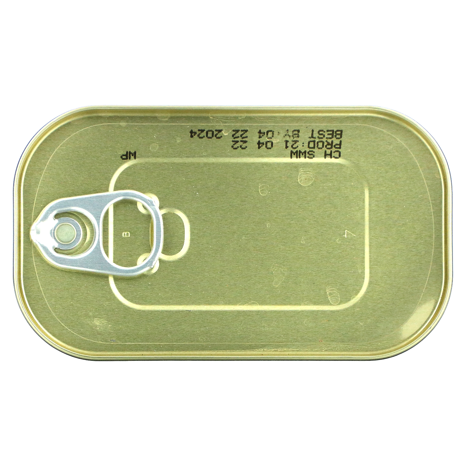 Wild Wild Sardines In Water, No Salt Added, 4.4 oz (125 g)