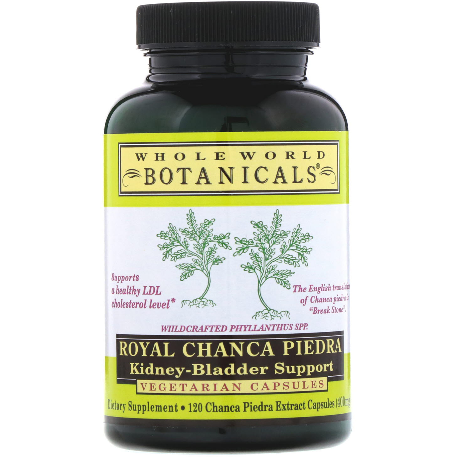 Whole World Botanicals, Royal Chanca Piedra, Kidney-Bladder Support ...