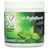 Xylitol Gum, Spearmint, 100 Pieces, 5.29 oz (150 g)