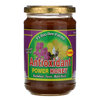 Y.S. Eco Bee Farms, Antioxidant Power Honey, 13.5oz (383g)
