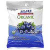 Zand, Bio-Kräuterpastille, Blaubeer-Mischung, 18 Lutschtabletten