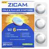 Echinacea + Sambucus, Kühlende Pfefferminze, 20 schnell lösliche Tabletten
